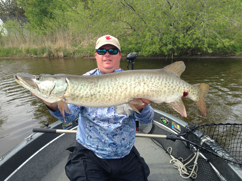 Llungen Fishing Pro Scott Donovan with Musky Fish