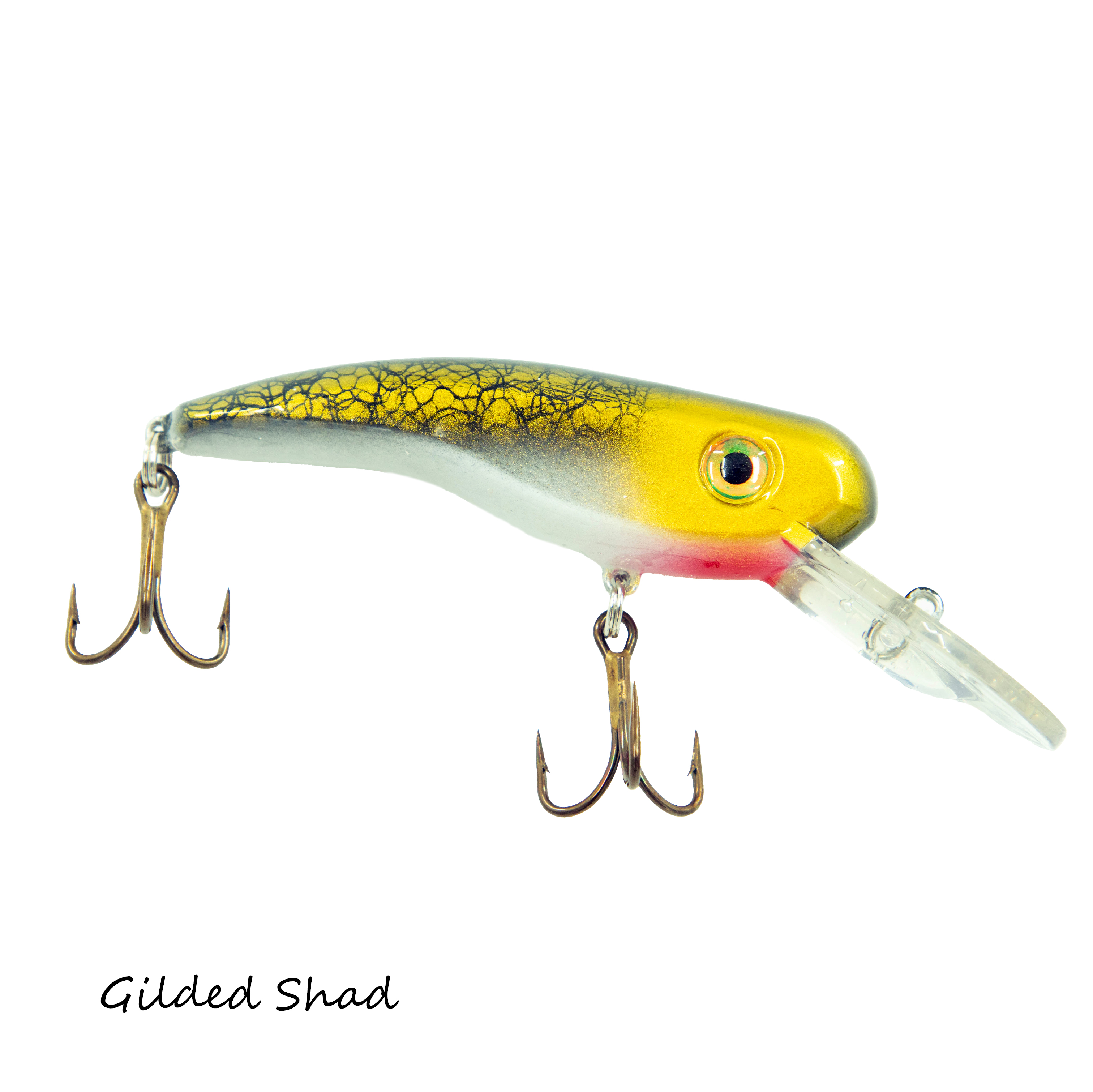 2026 Custom .22 Shorts - Image 3