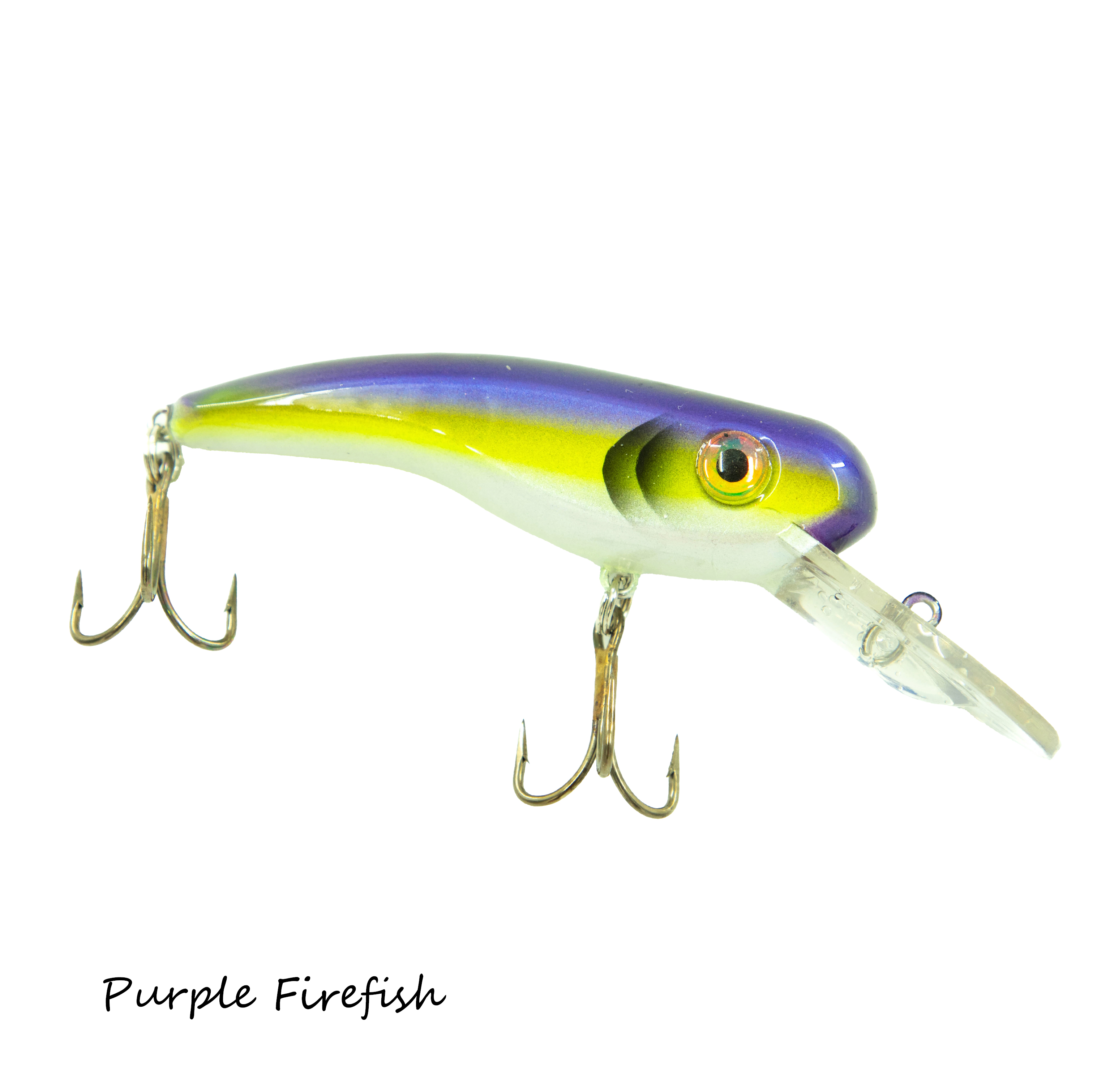 2026 Custom .22 Shorts - Image 7