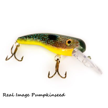 .22 Short - Image 22