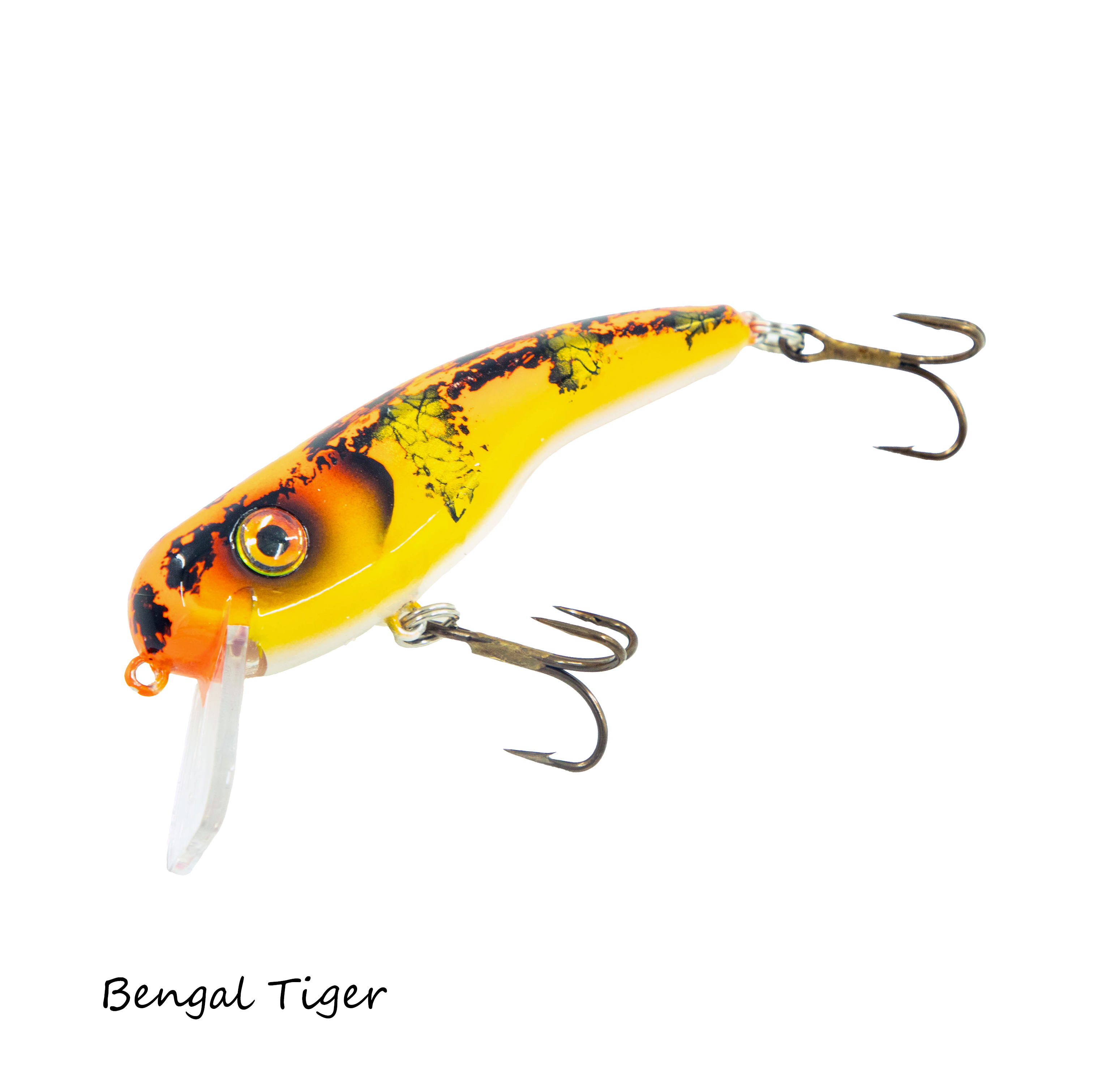 2026 Custom .22 Short SS - Image 5