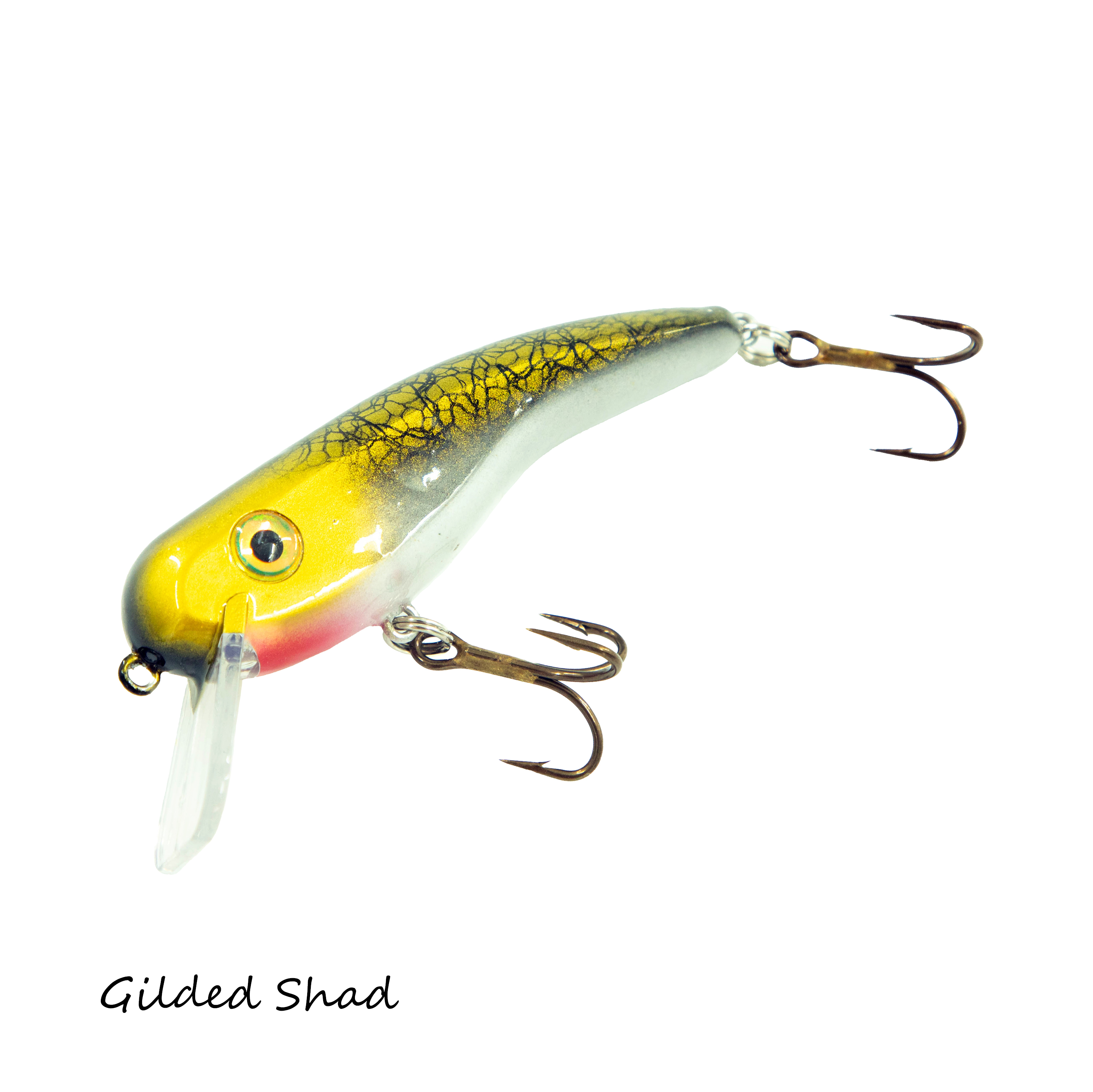 2026 Custom .22 Short SS - Image 3