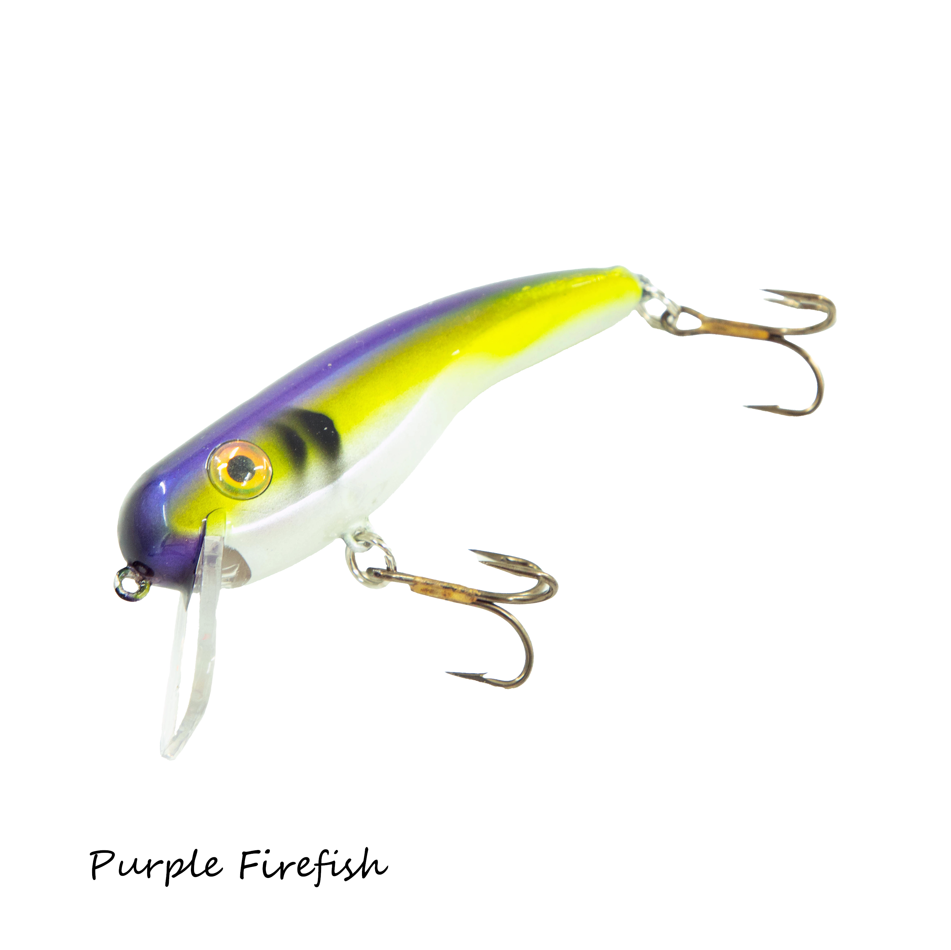 2026 Custom .22 Short SS - Image 7