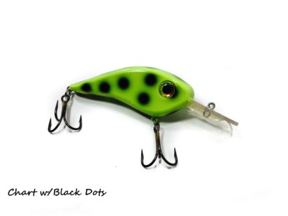 Chad Shad - Image 4