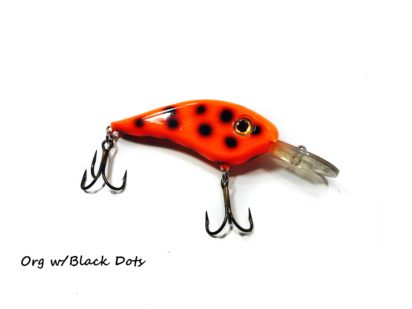 Chad Shad - Image 14