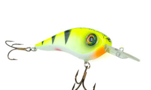 2025 Chad Shads Show Colors