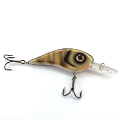 Chad Shad - Image 6