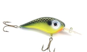 Chad Shad