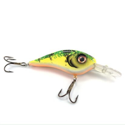 Chad Shad - Image 12