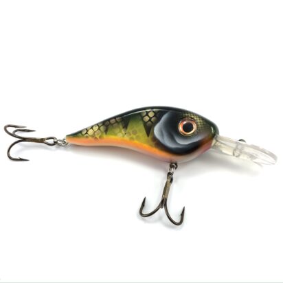 Chad Shad - Image 16