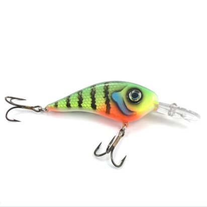 Chad Shad - Image 17