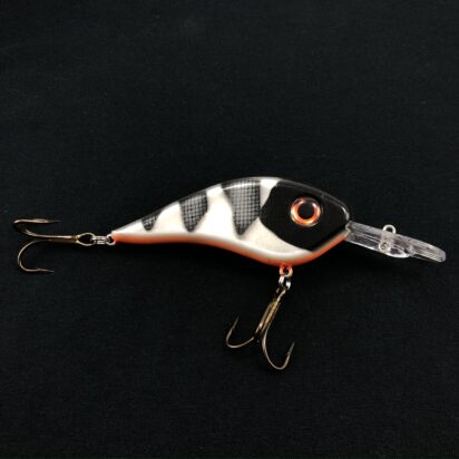 Chad Shad - Image 13