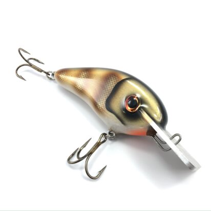 Square Metal Lip Wood Chad Shad - Image 5