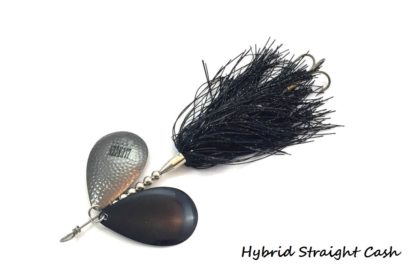Hybrid DC-10 - Image 13